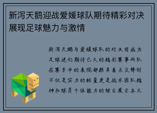 新泻天鹅迎战爱媛球队期待精彩对决展现足球魅力与激情