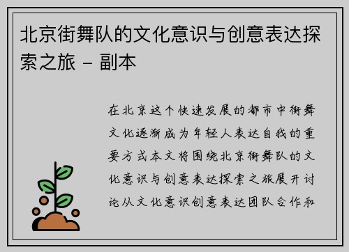 北京街舞队的文化意识与创意表达探索之旅 - 副本