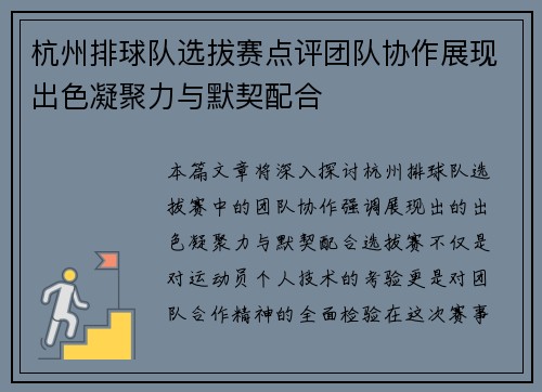 杭州排球队选拔赛点评团队协作展现出色凝聚力与默契配合