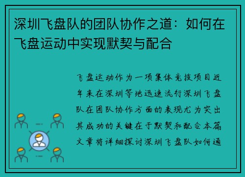 深圳飞盘队的团队协作之道：如何在飞盘运动中实现默契与配合
